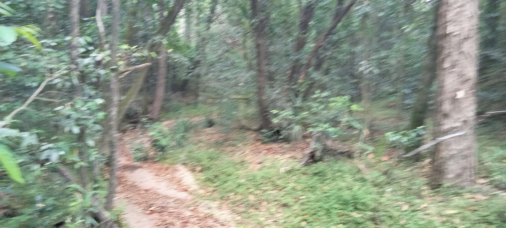 Additional image 27 of 3359 Lowmead Road, Lowmead QLD 4676