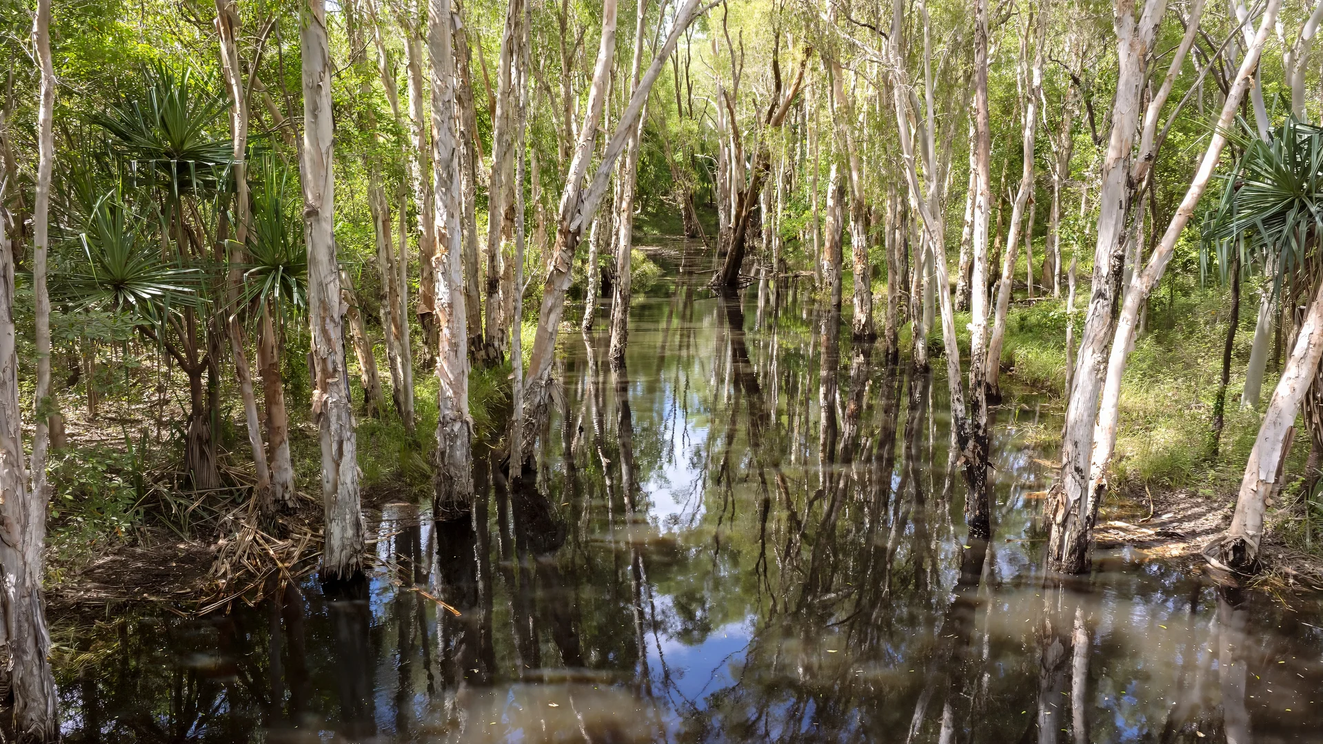 Additional image 13 of 14755 Bruce Highway, Gregory River QLD 4800