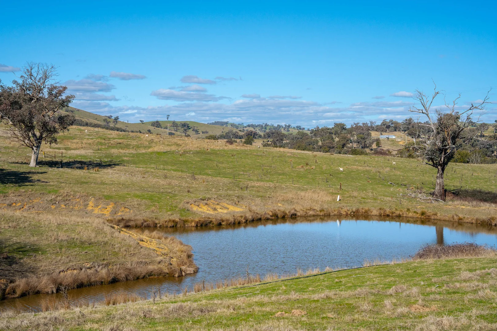 Additional image 13 of 334 Lucky Swamp Road, Crooked Corner NSW 2583