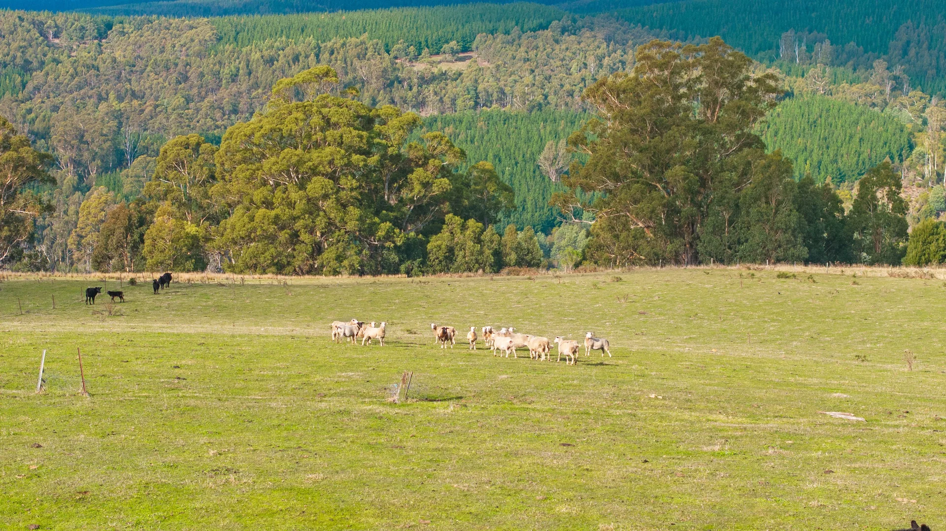 Additional image 6 of 65 Pumps Road, Callignee VIC 3844