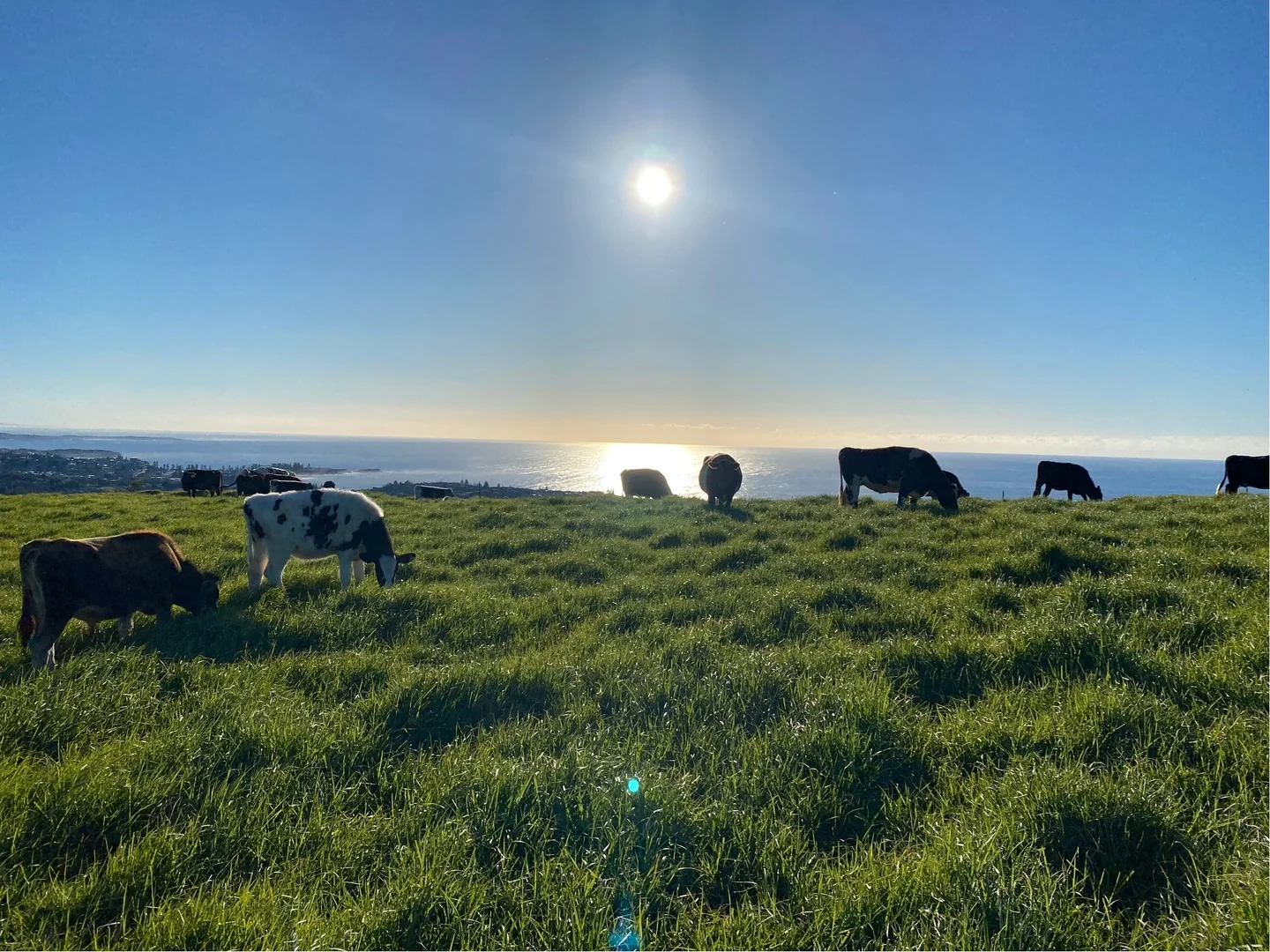 Additional image 7 of 164 Princes Highway, Kiama NSW 2533