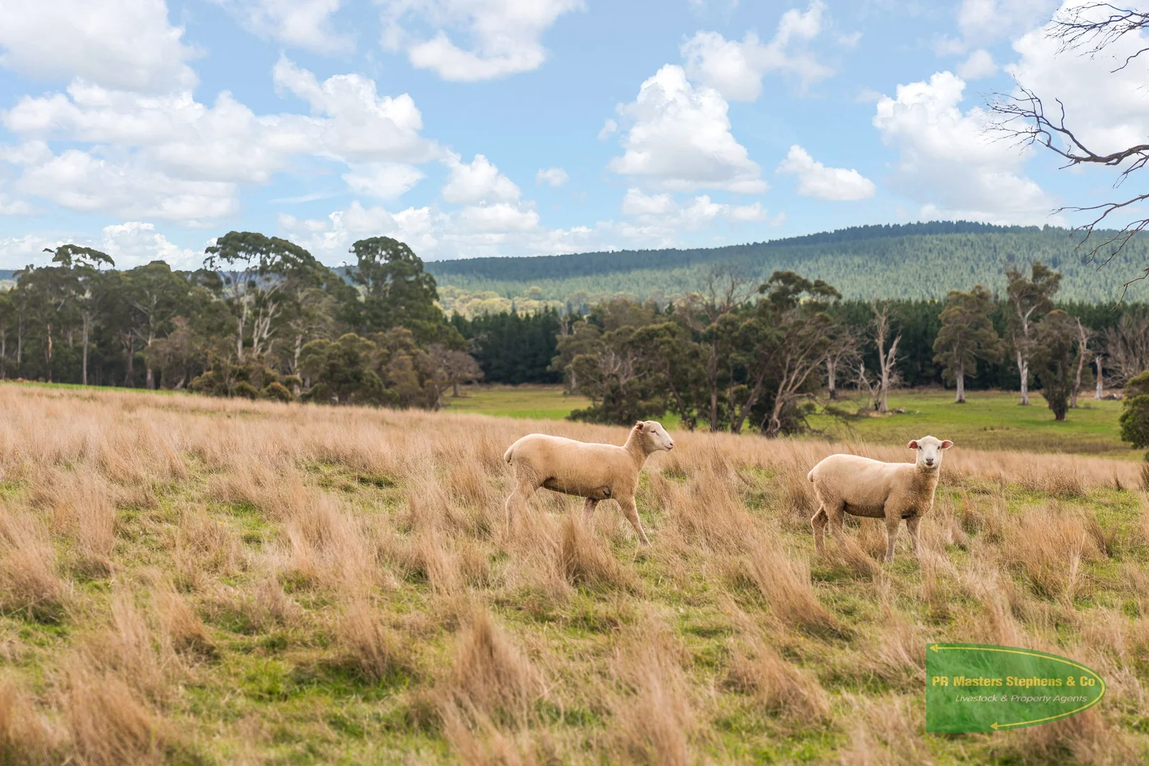 Additional image 53 of 800 Riverview Forest Road, Mozart NSW 2787