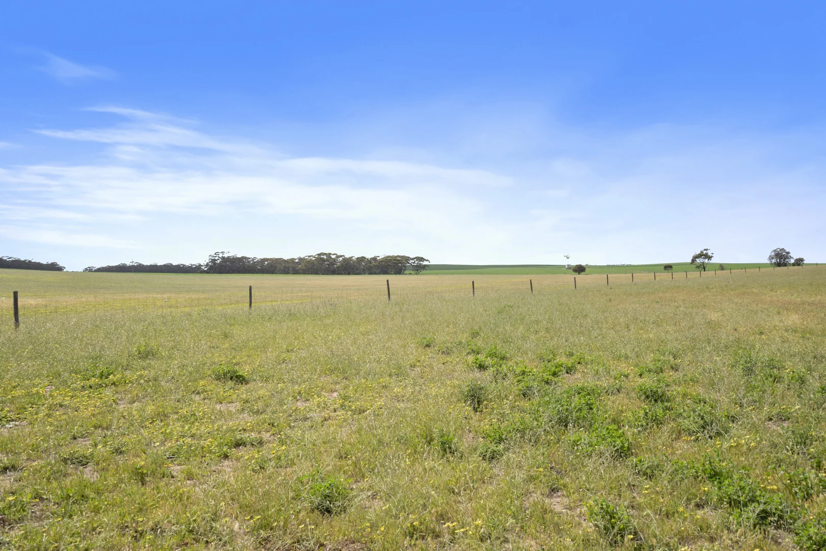 Additional image 20 of 4910 Mallee Highway, Peake SA 5301