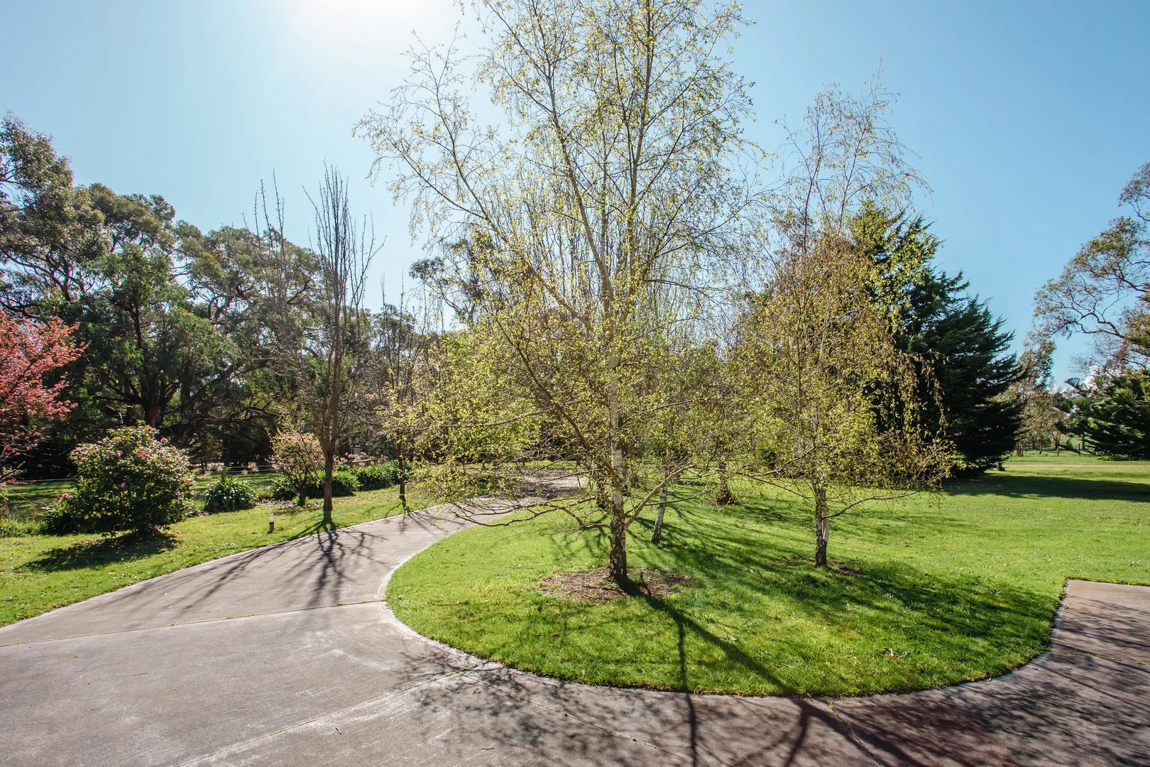 Additional image 30 of 67 Bittern-Dromana Road, Balnarring VIC 3926
