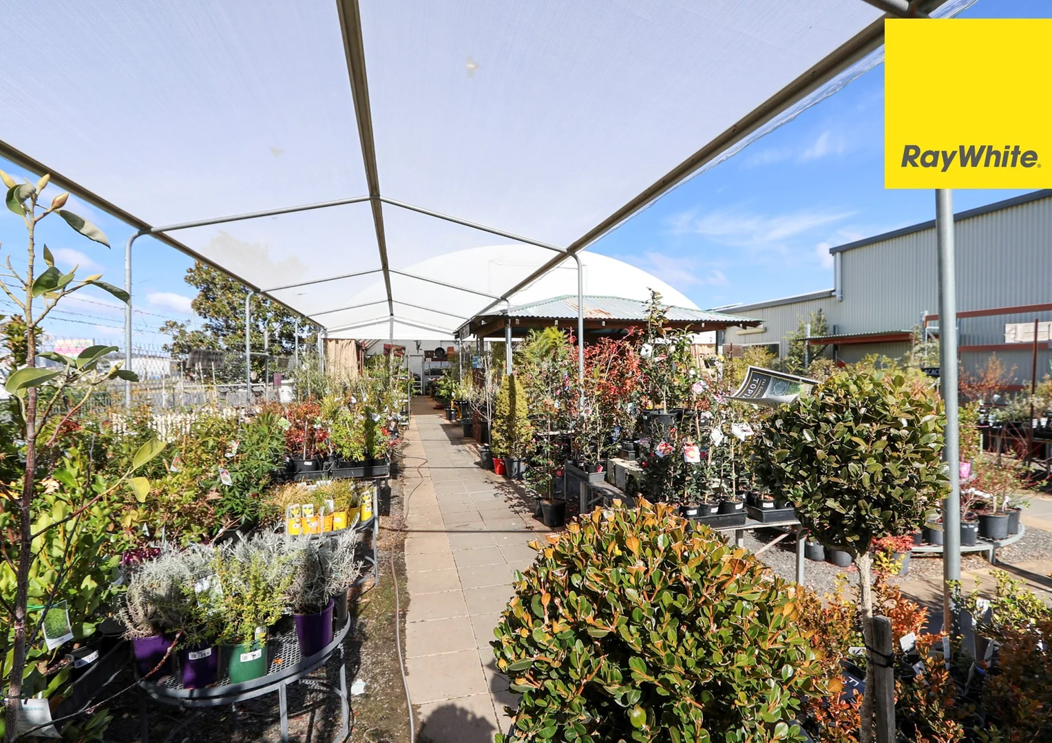 Additional image 9 of 160 Evans Street, Inverell NSW 2360