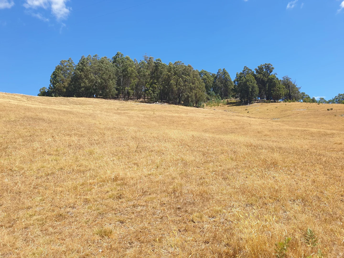 Additional image 5 of Lot 3 Ferrar Road, Geeveston TAS 7116