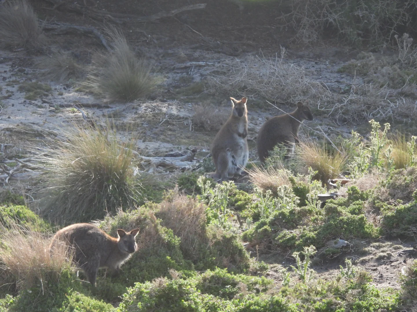 Additional image 6 of Lot 10 West End Road, Leeka TAS 7255