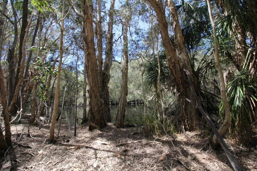 Additional image 29 of 9 Coe Road, Deepwater QLD 4674