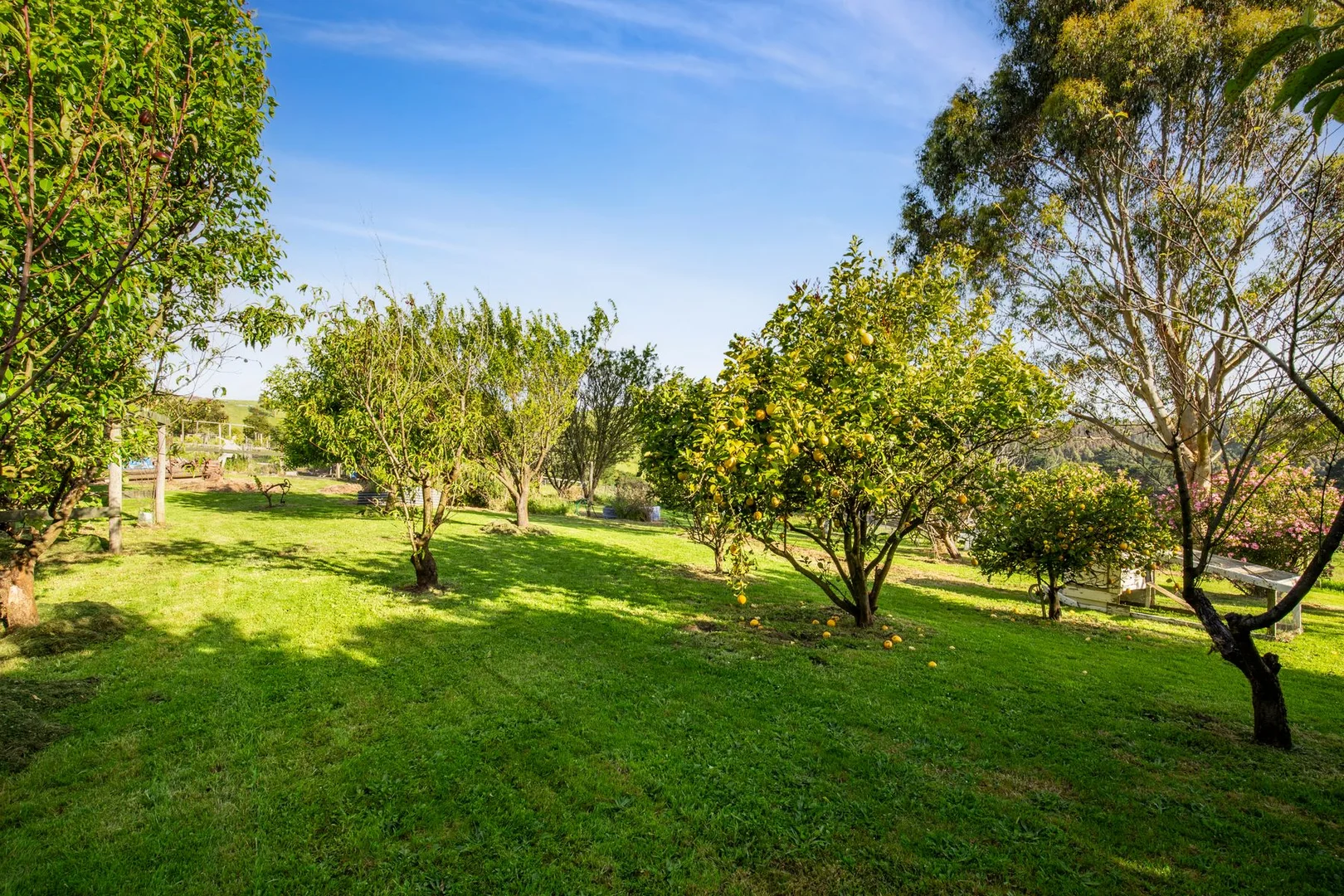 Additional image 38 of 3100 South Gippsland Highway, Foster North VIC 3960