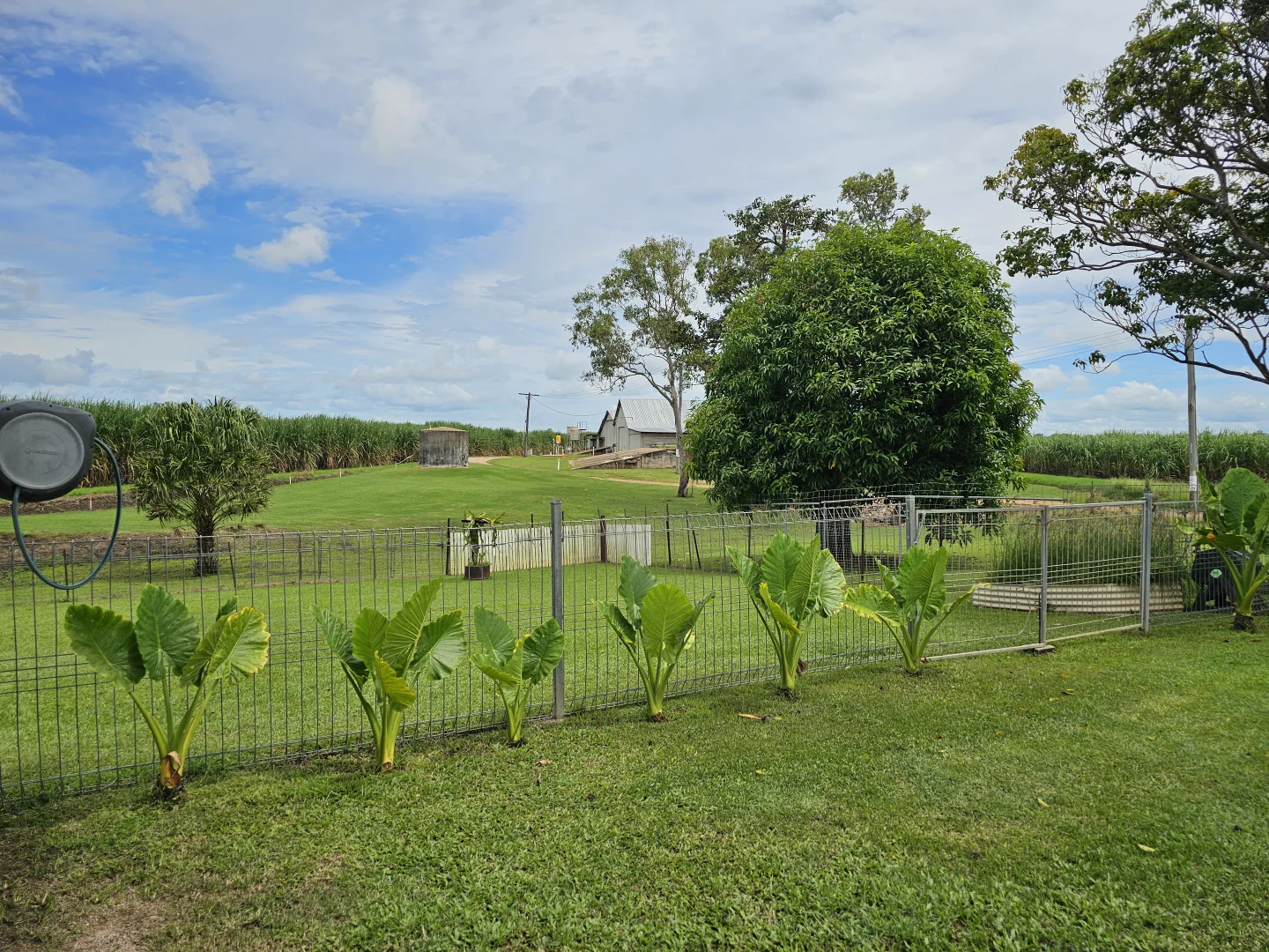 Additional image 28 of 326 Mcdesme Road, McDesme QLD 4807