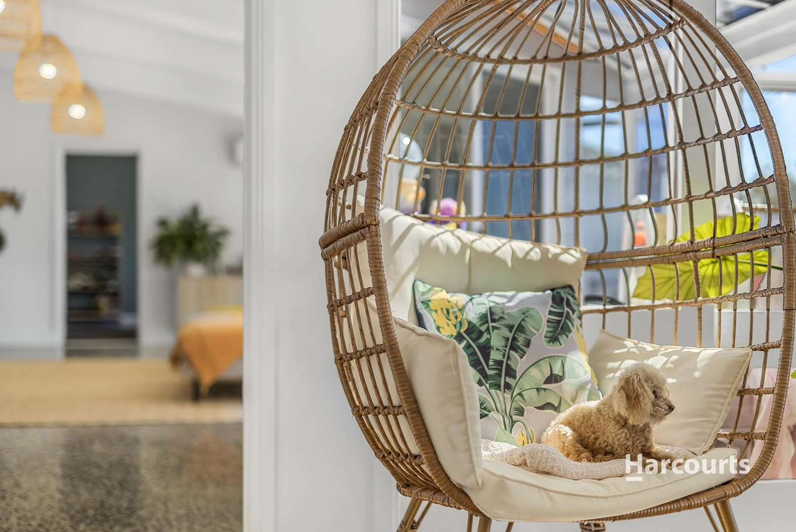 Additional image 7 of 107 Old Bass Highway, Wynyard TAS 7325