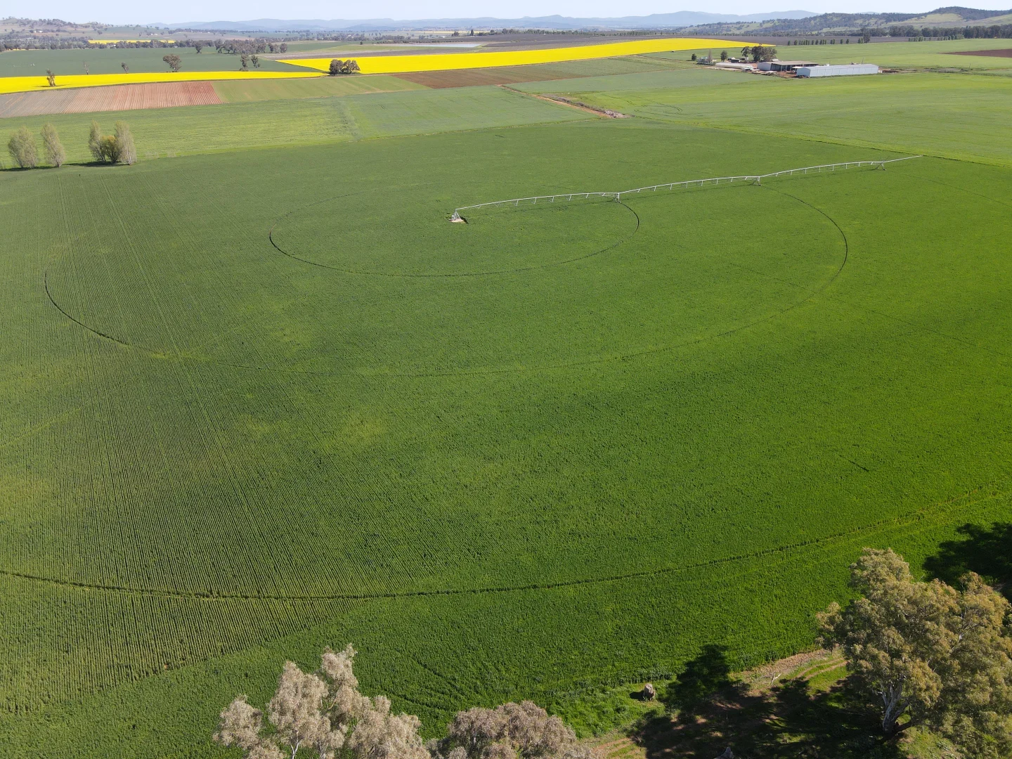 Additional image 21 of 349 Nangar Road, Canowindra NSW 2804