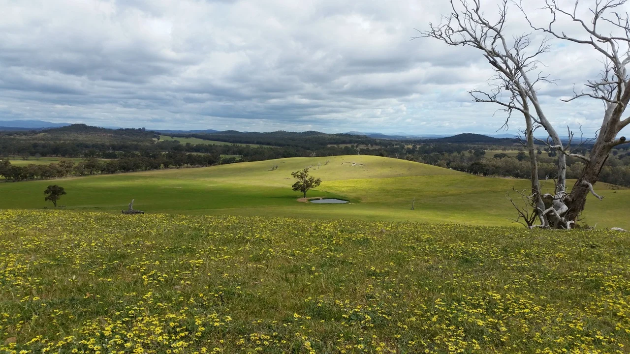 Additional image 5 of 78 Cherry Tree Road, Nagambie VIC 3608