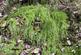 Additional image 8 of Maudland, Rhos, Carmarthenshire SA33