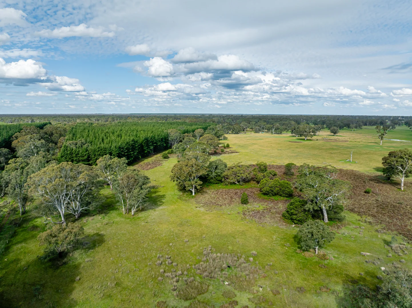 Additional image 28 of 219 Ockley Rd, Comaum SA 5277