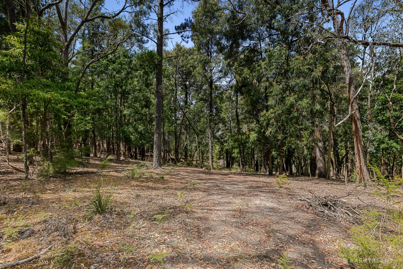 Additional image 6 of 12 Valley Road, Wonga Park VIC 3115