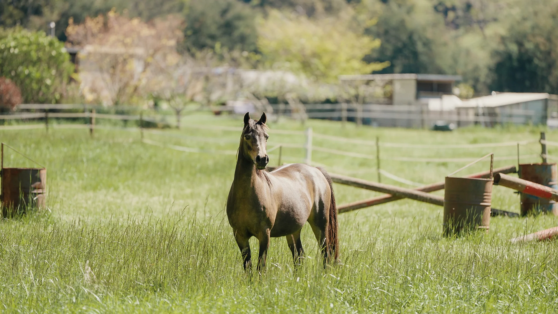 Additional image 31 of 120 Pumping Station Road, Forth TAS 7310