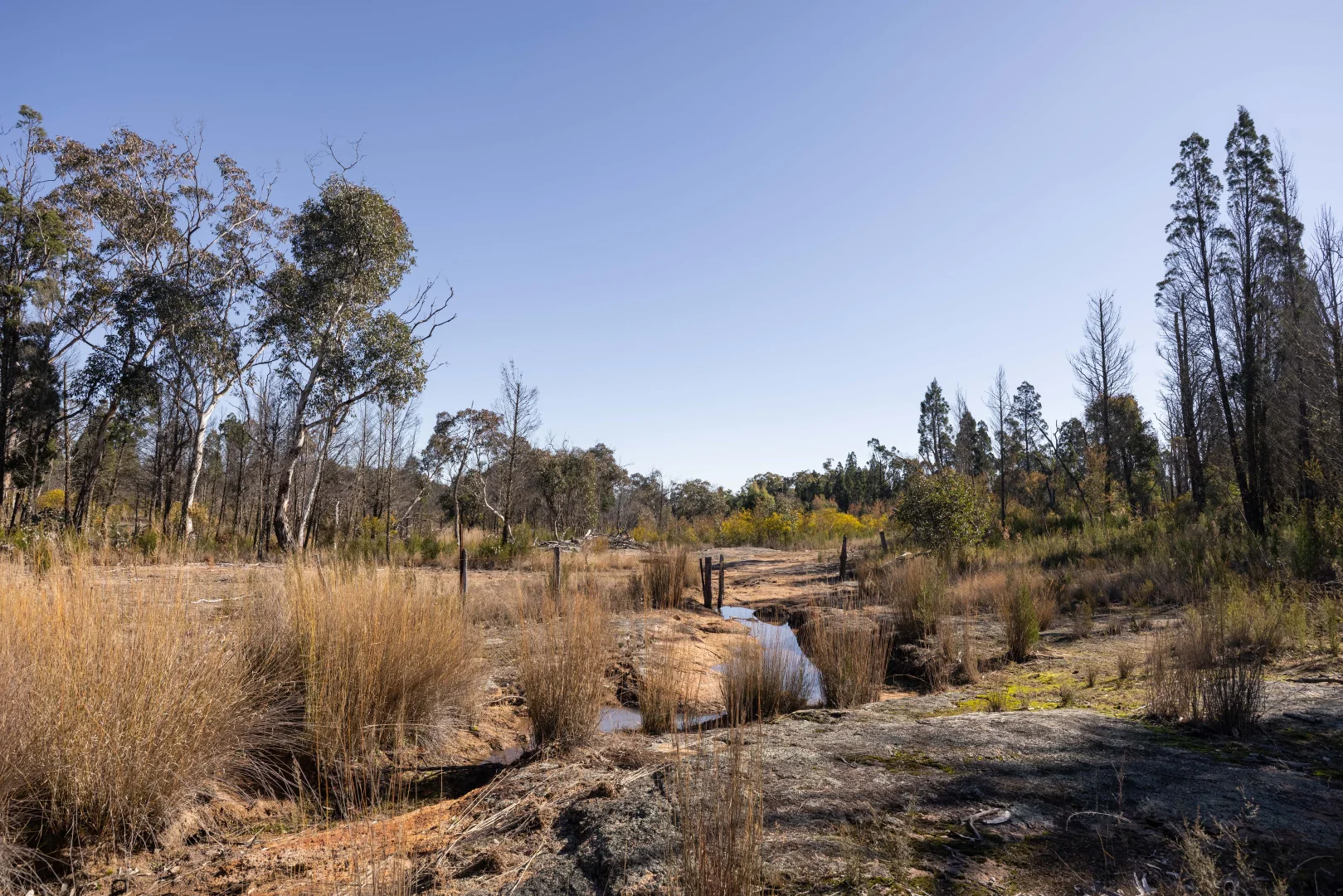 Additional image 3 of 250 Springwood Park Road, Gulgong NSW 2852