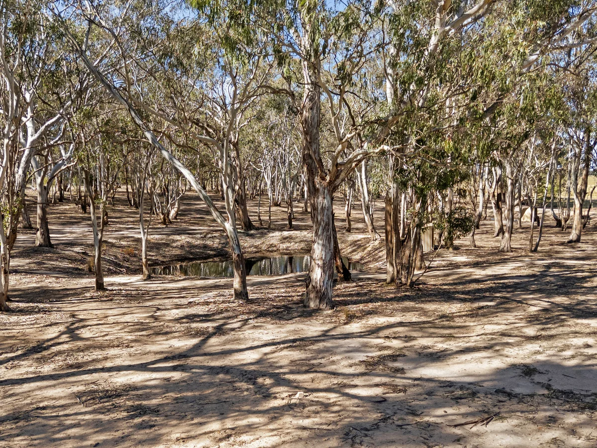 Additional image 5 of 1 Maffra-Briagolong Road, Maffra VIC 3860