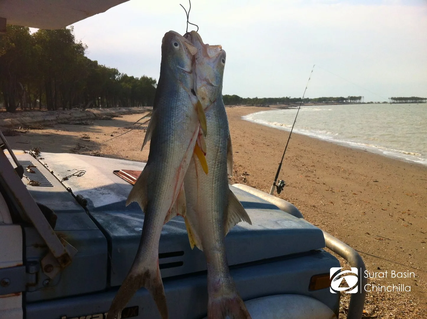 Additional image 11 of Rosewood Island, Broad Sound, St Lawrence QLD 4707