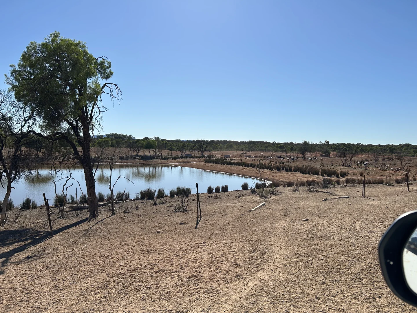 Additional image 16 of 1 Ben Lomond Road, Gunderbooka NSW 2840