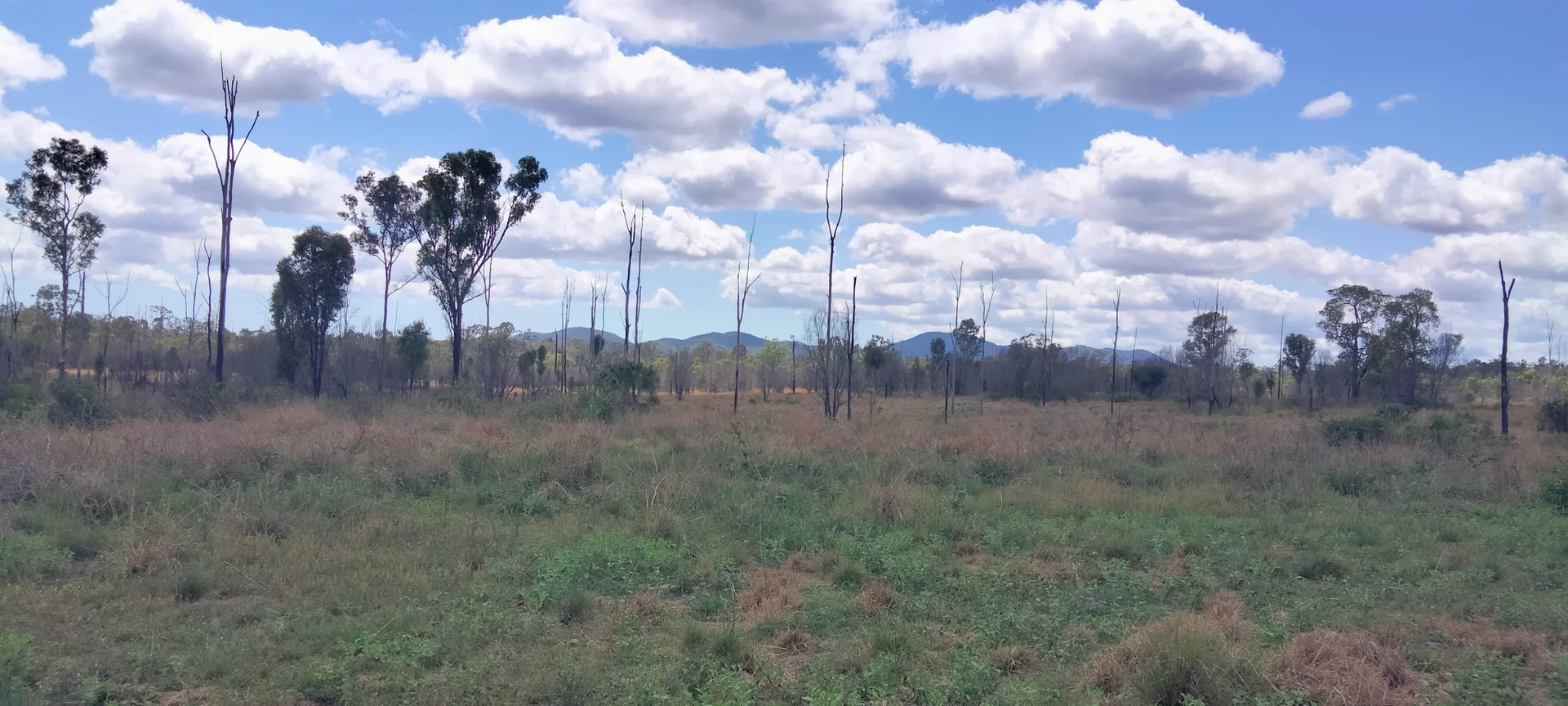 Additional image 3 of 3359 Lowmead Road, Lowmead QLD 4676