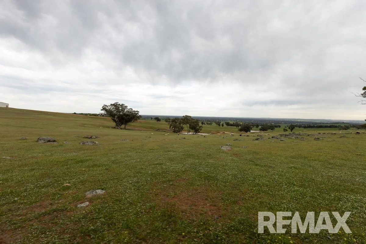 Additional image 24 of 417 Twelve Mile Road, Yarragundry NSW 2650