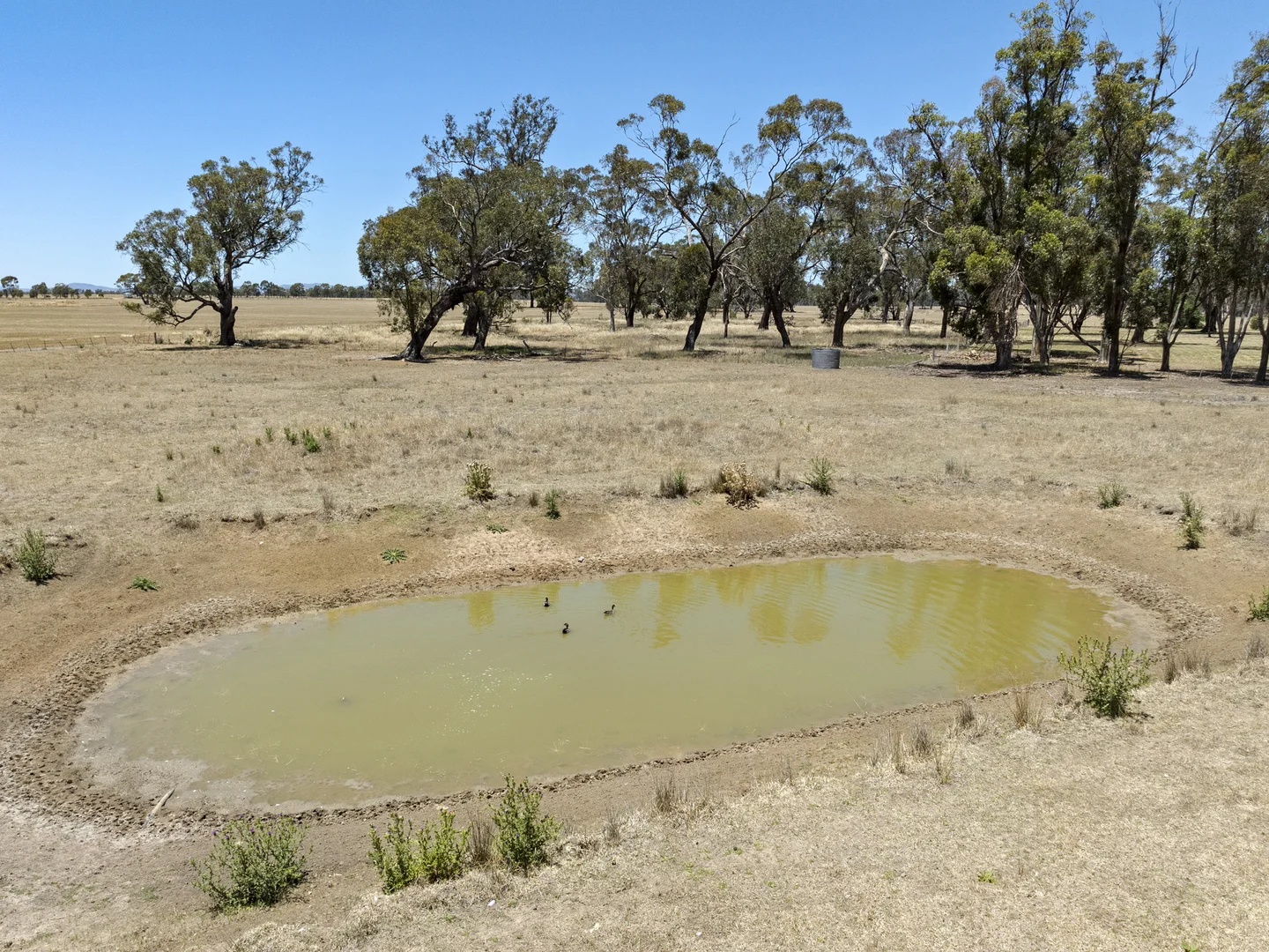 Additional image 6 of Harringtons Rd & Miepoll School Rd (either or both), Miepoll VIC 3666
