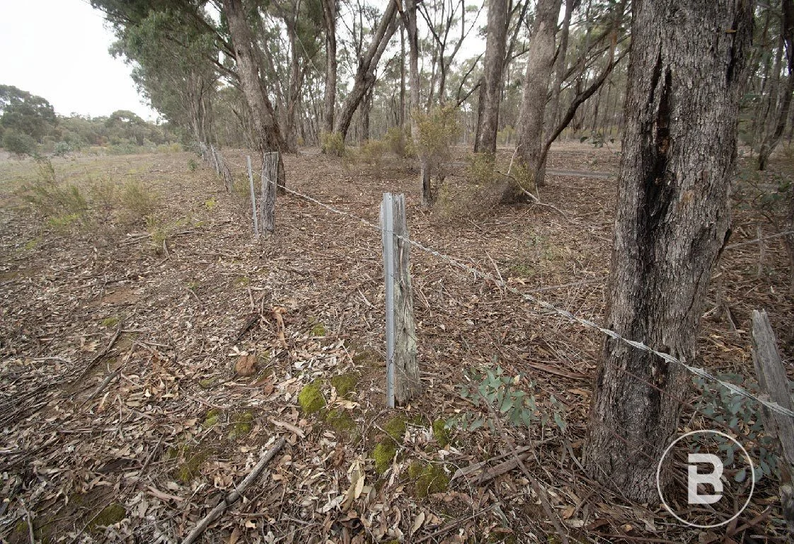 Additional image 15 of 163 Kicks Lane, Dunolly VIC 3472