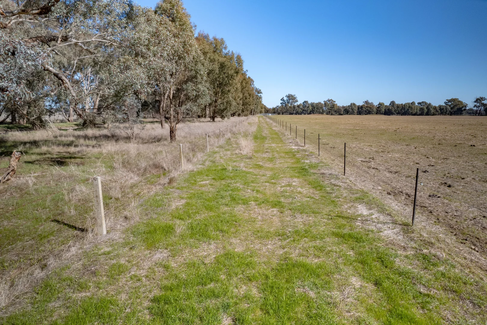 Additional image 19 of 486 Carraragarmungee Estate Road, Byawatha VIC 3678