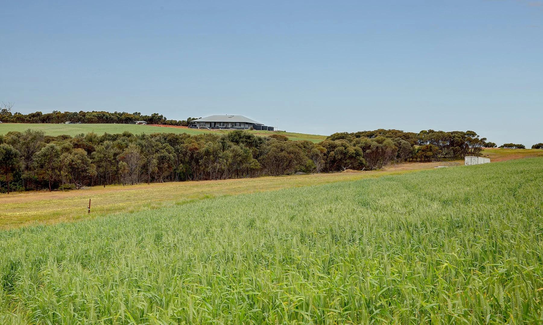 84 Lovegrove Lane, Whites Flat SA 5607