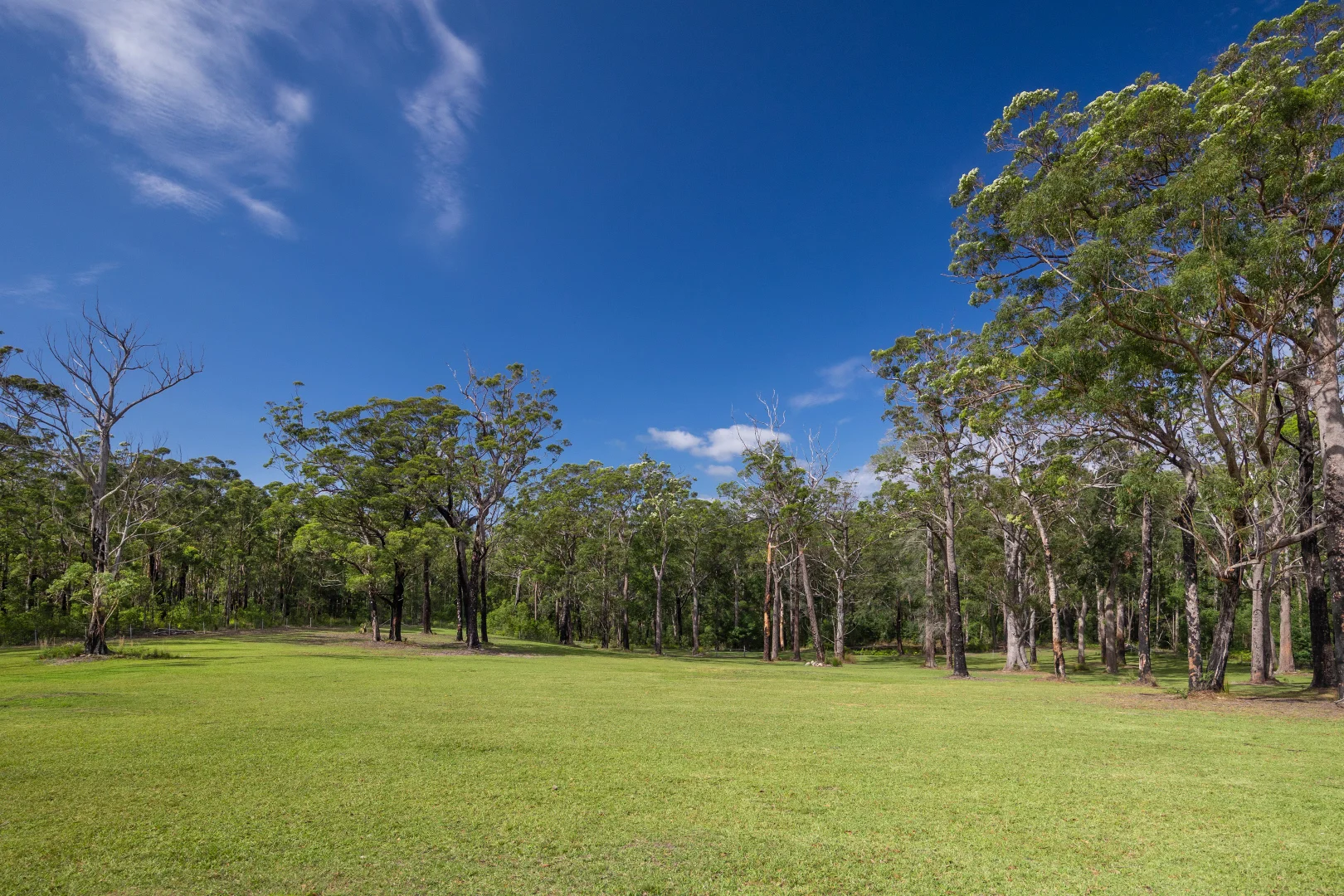Additional image 21 of Lot 3, 315C Little Forest Road, Little Forest NSW 2538
