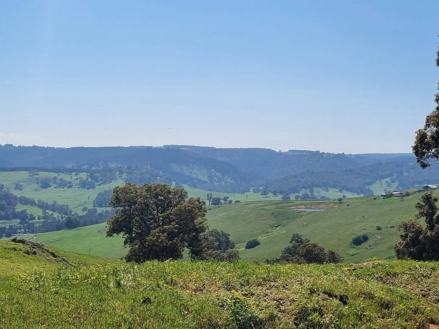 Additional image 5 of Lot 8 Catalano Road, Burekup WA 6227