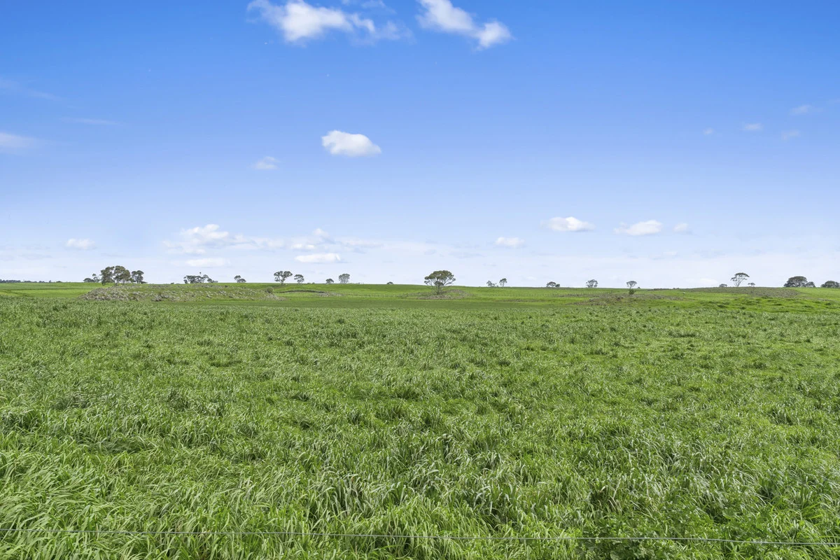 Additional image 4 of 280 Ondit-Warrion Road, Ondit VIC 3249