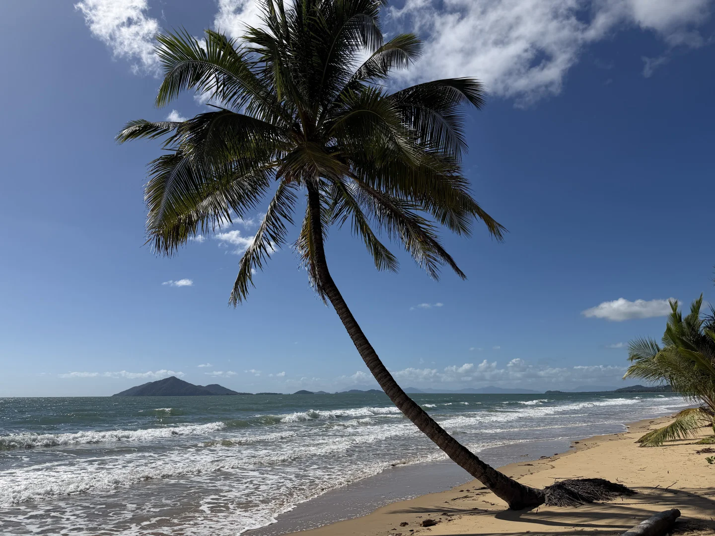 Additional image 21 of 16 Royal Palm Dr, Mission Beach QLD 4852