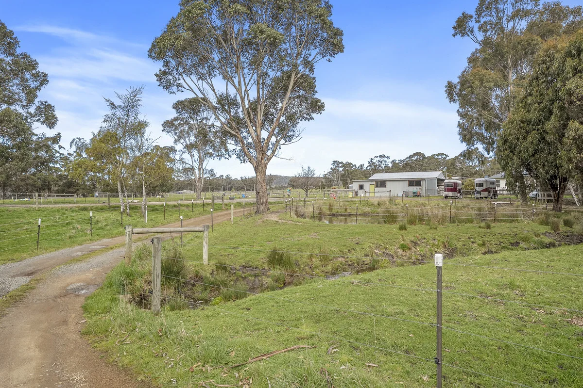 Additional image 34 of 730 Sandfly Road, Sandfly TAS 7150