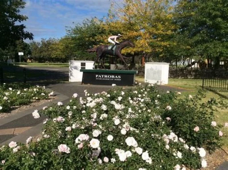 Additional image 7 of 28 King st, Rosedale VIC 3847