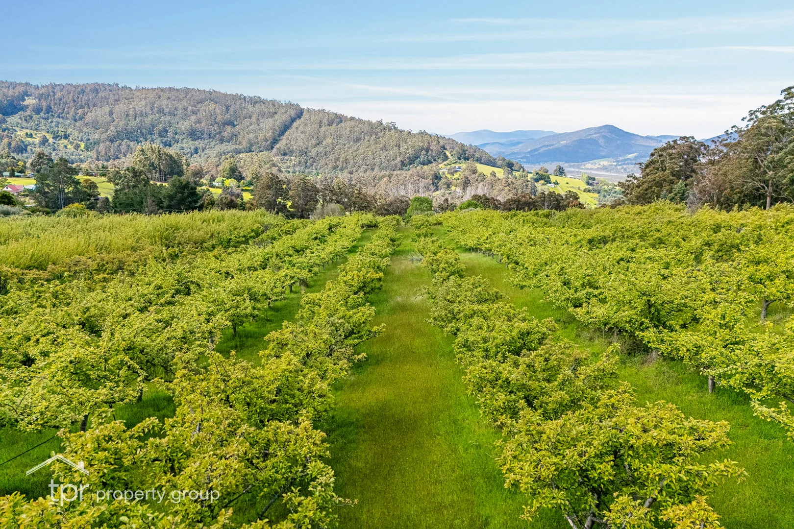 Additional image 9 of Lot 1 Braeside Road, Franklin TAS 7113