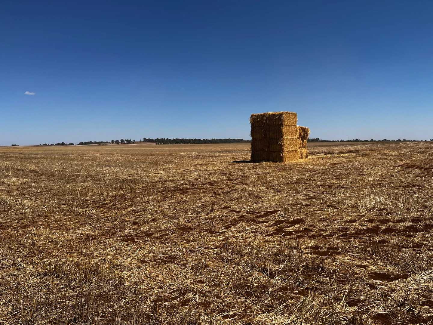 Additional image 5 of Lot 2 PS445124Y Wilson Road, Nanneella VIC 3561