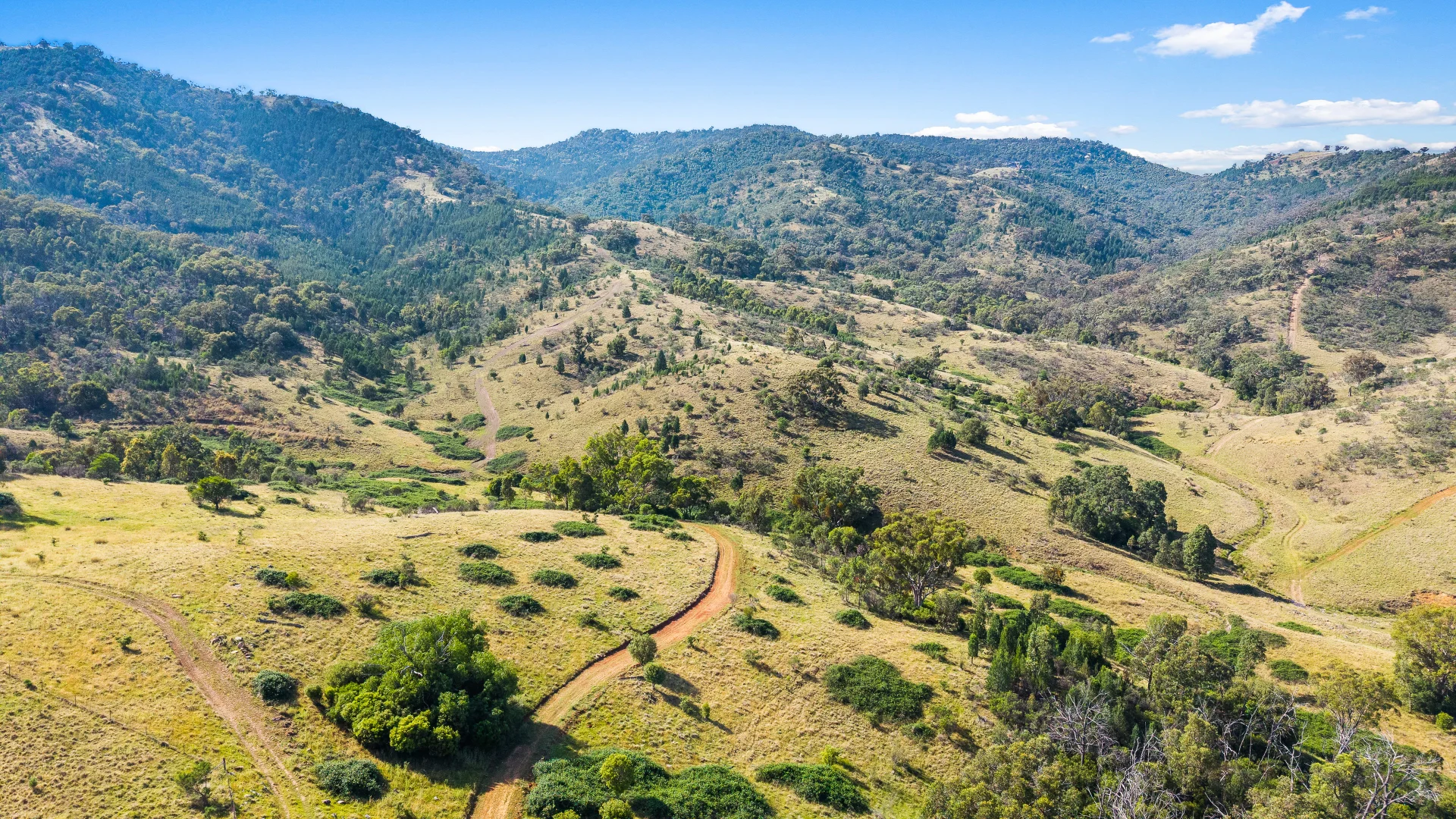 Additional image 9 of "Upper Forest View" 562 Wisemans Arm Road, Attunga NSW 2345