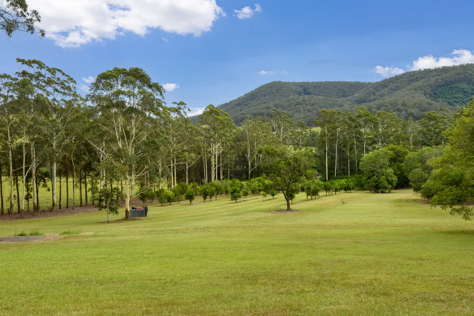 Additional image 28 of 1078 Comboyne Road, Byabarra NSW 2446