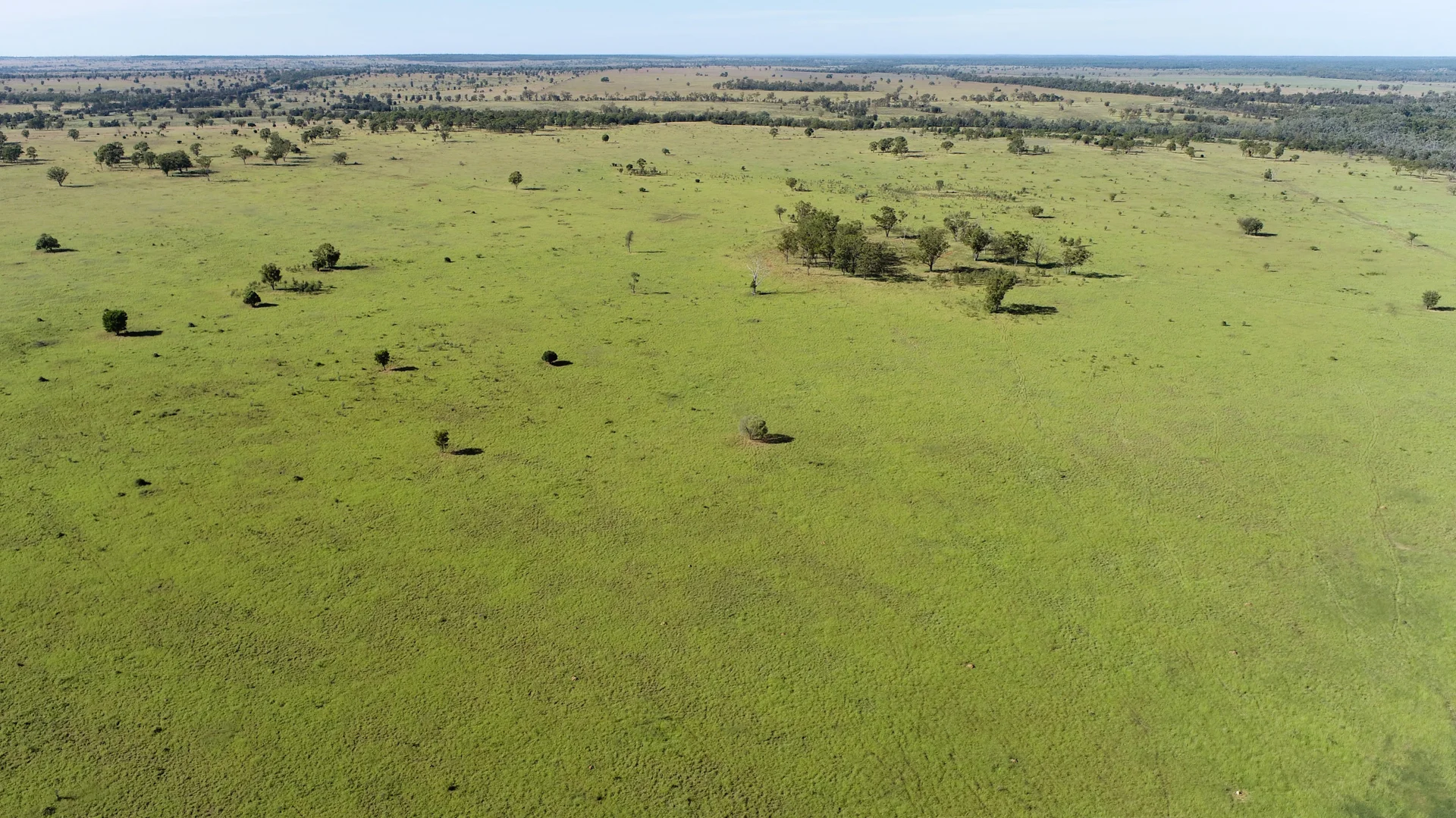 Additional image 9 of 'Glencoe' 28547 Carnarvon Highway, Roma QLD 4455