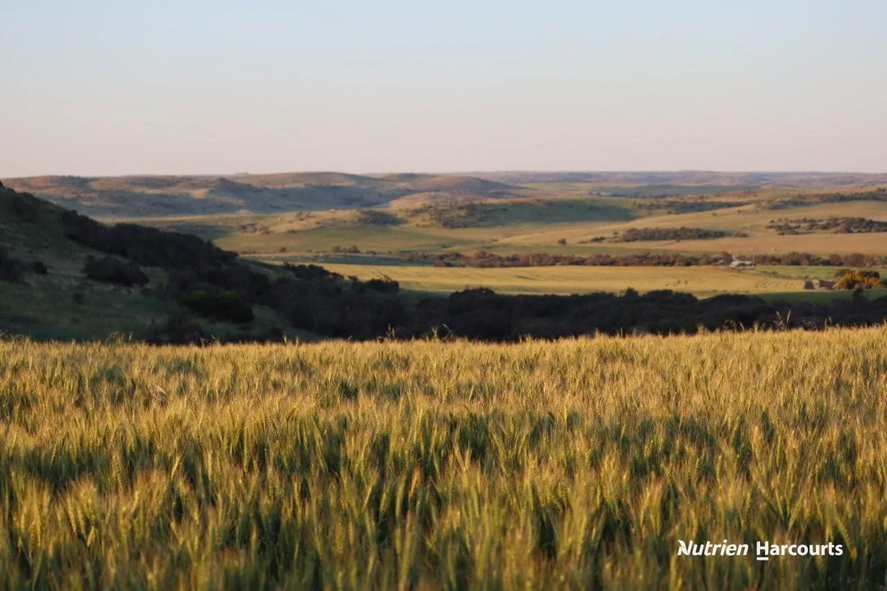 Additional image 4 of Lot 4 Larard Road, Sandy Gully WA 6535