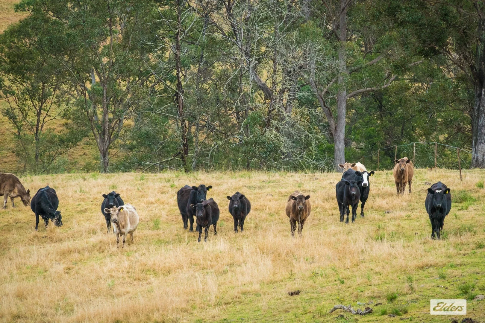 Additional image 21 of 93 Ramble Lane, Brogo NSW 2550