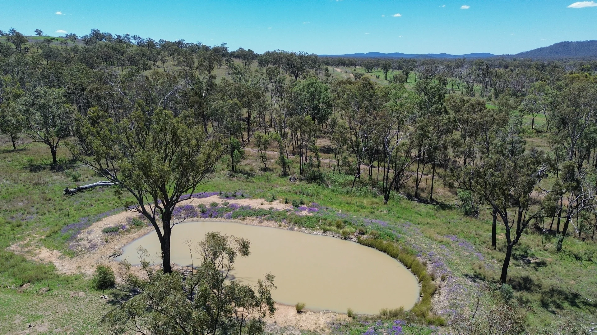 Additional image 20 of 39 Thanes Creek Road, Thane QLD 4370