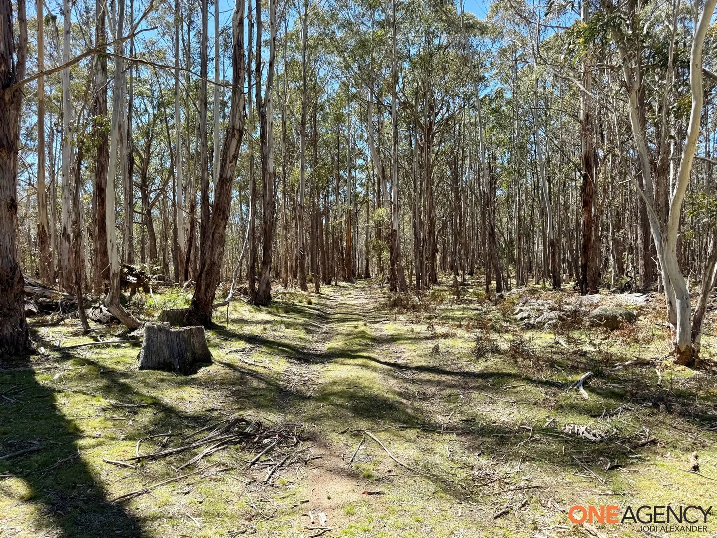 Additional image 13 of Lots 113 & 114 Kydra Firetrail Greenlands Road, Greenlands NSW 2631