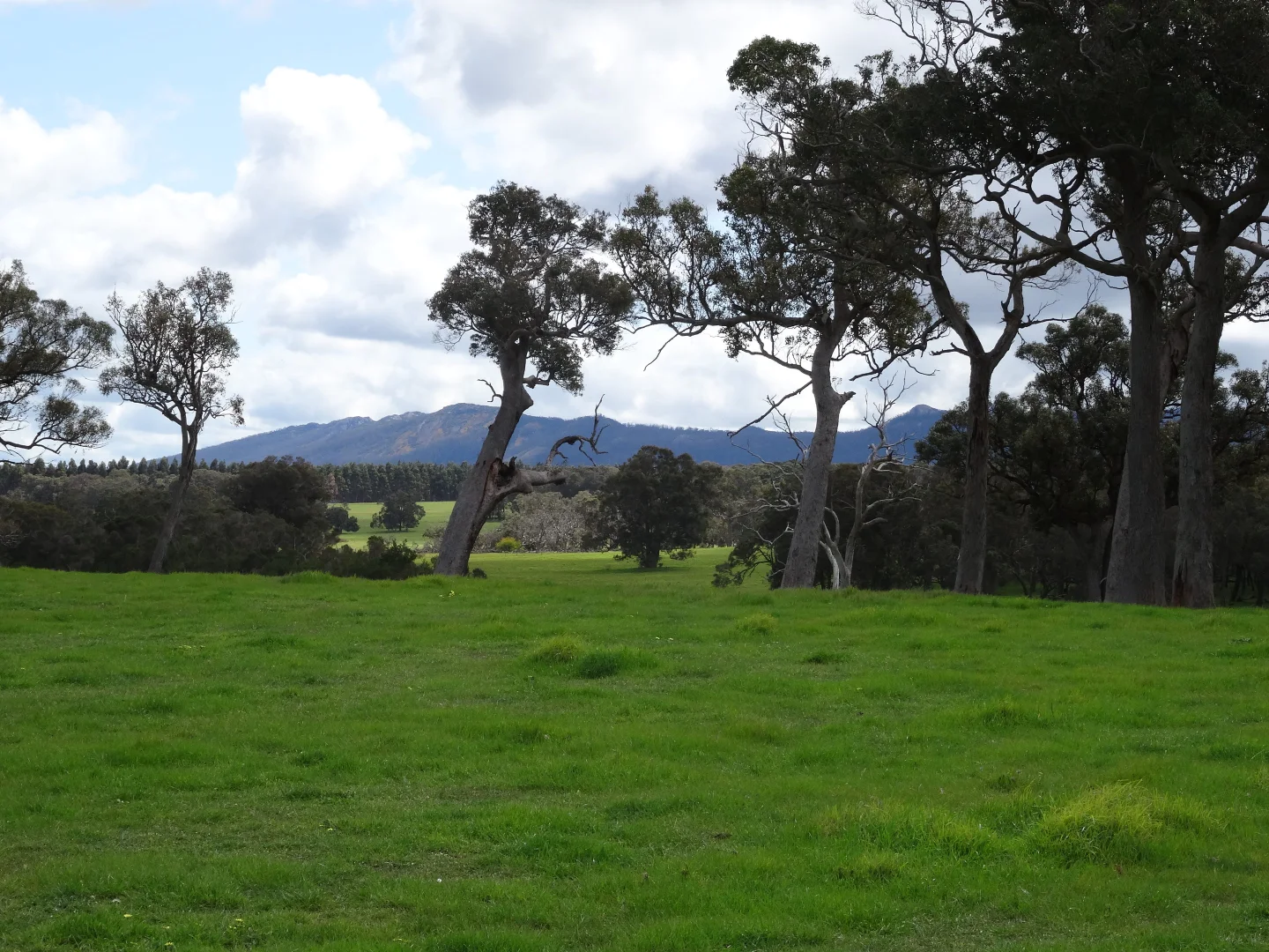 Additional image 24 of 2935 Chester Pass Road, Napier WA 6330