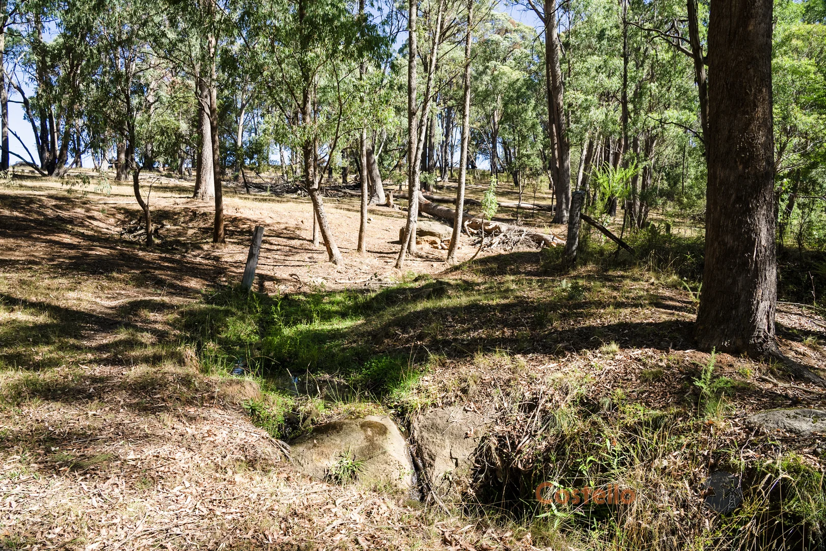 Additional image 9 of 195 Willigobung Road, Willigobung NSW 2653