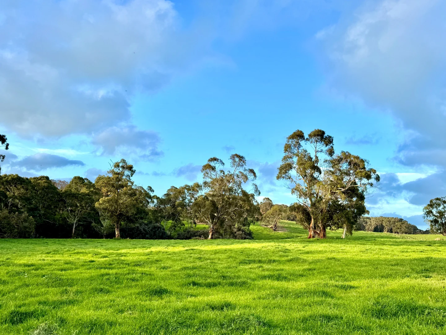 Additional image 23 of 29 Cowens Lane, Nirranda East VIC 3268