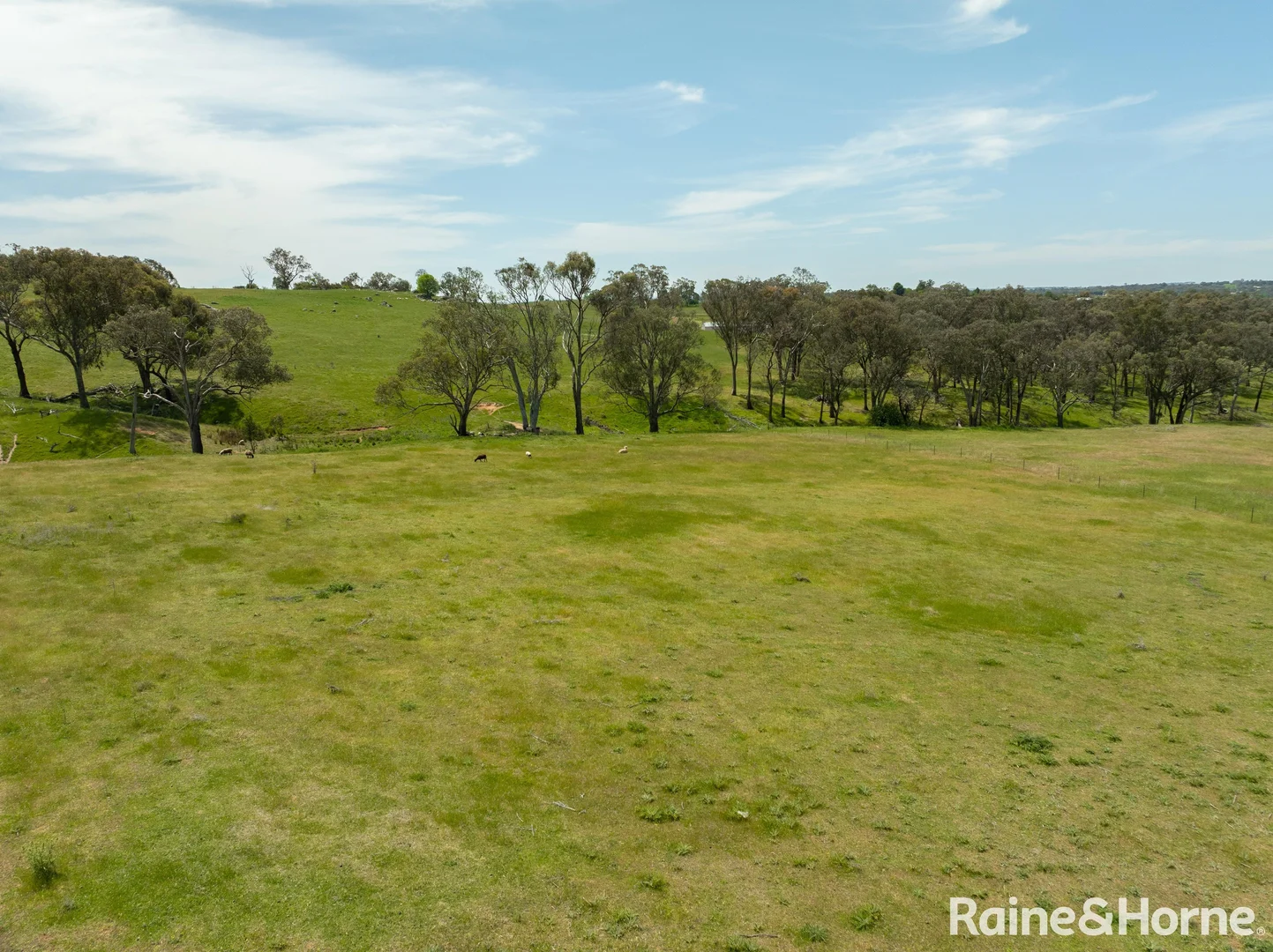 Additional image 8 of 75-84 Crowe Road, Young NSW 2594